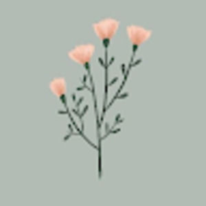 Meet your Posher, Leti